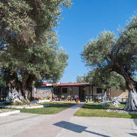 Dimitra'S Apartment Makri Exterior photo